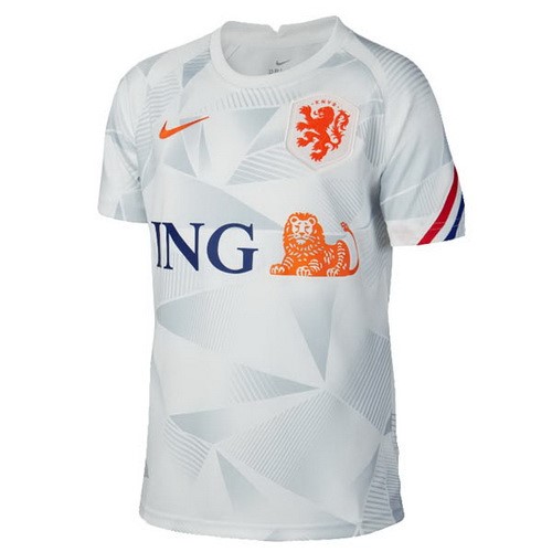 Authentic Camiseta Países Bajos Pre Match 2020 Gris